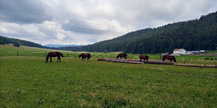 Rudná magistrála 04