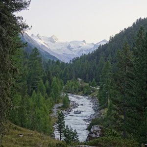 01 Biz Bernina Biancograt