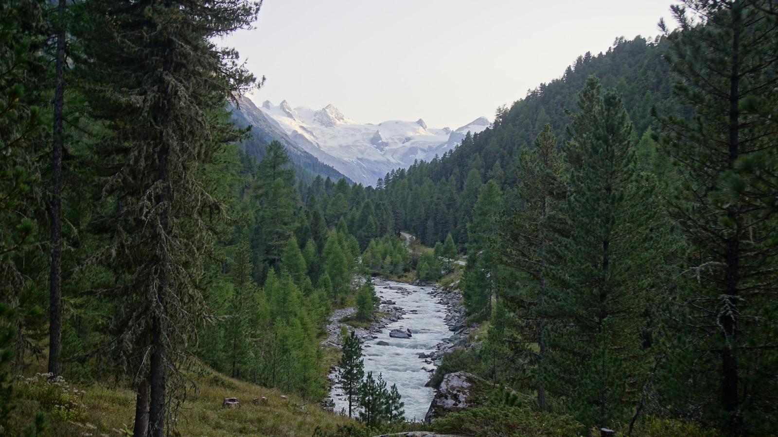 01 Biz Bernina Biancograt
