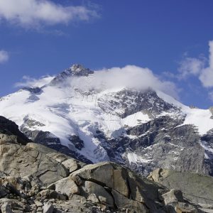 16 Biz Bernina Biancograt