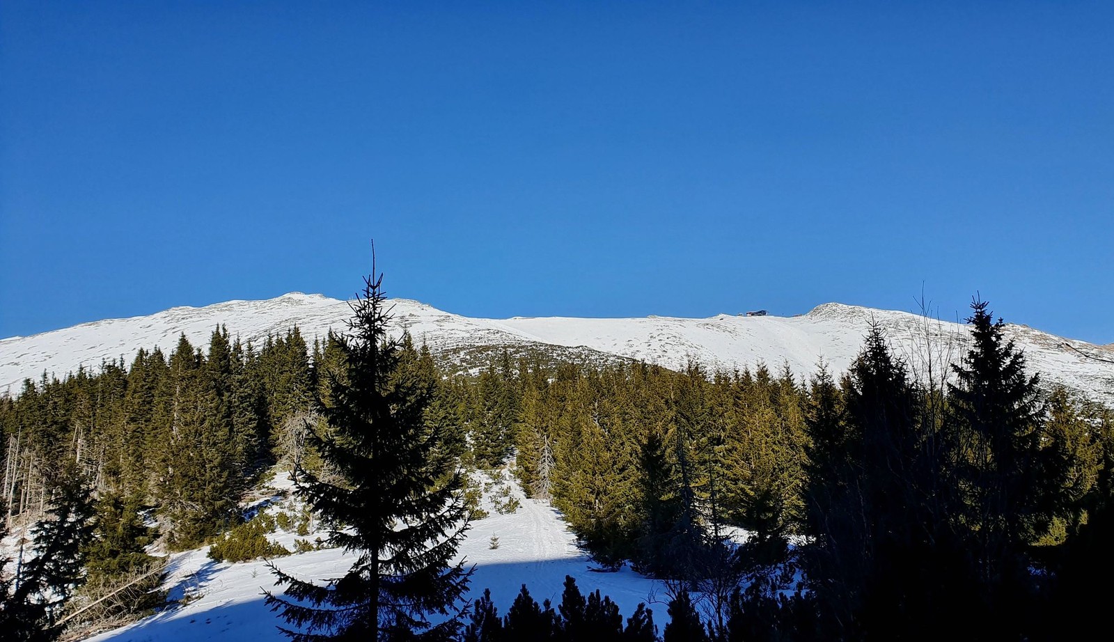 03 Z Krúpovej na Dereše cez Príslop