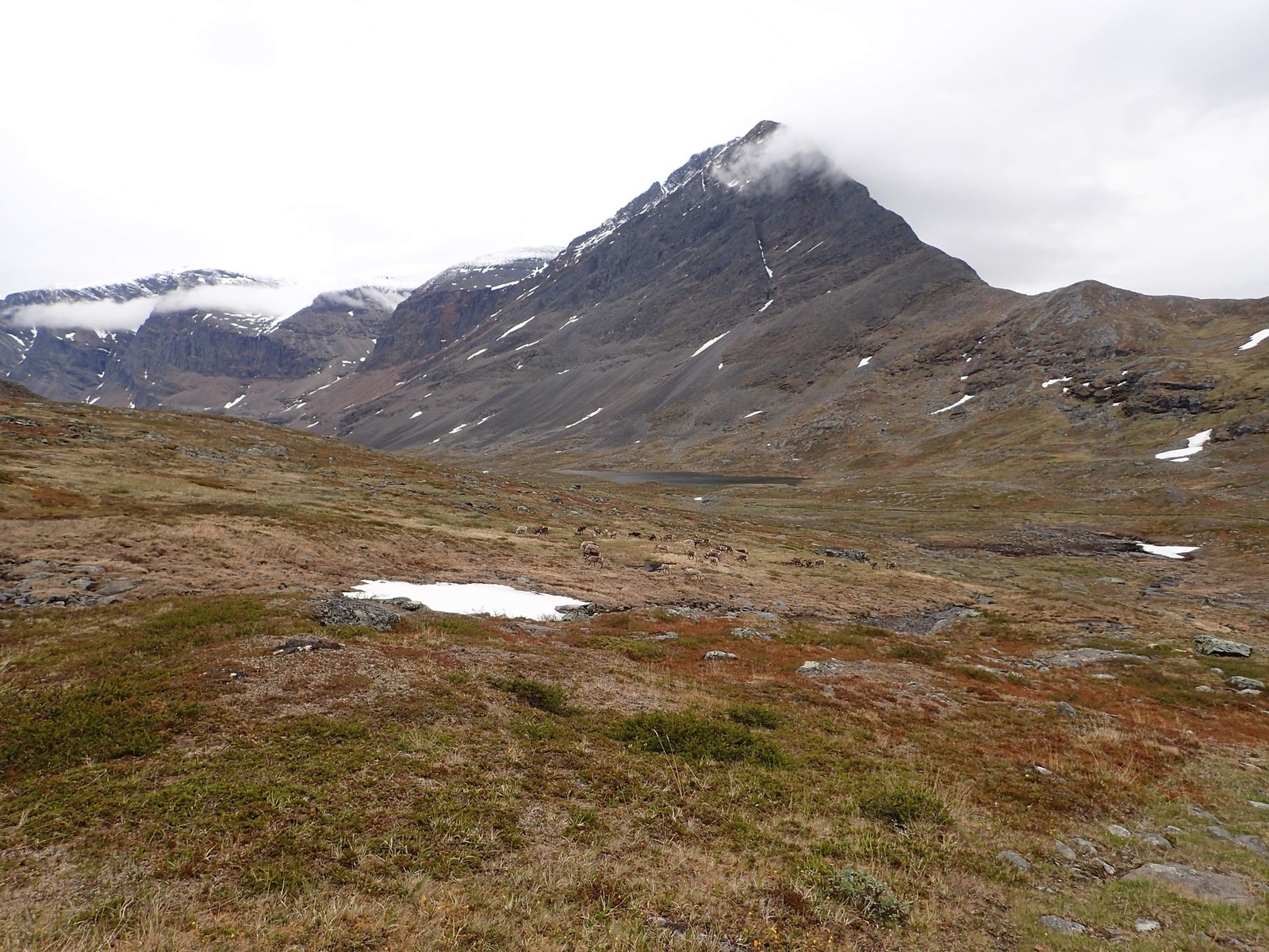 16 Kungsleden