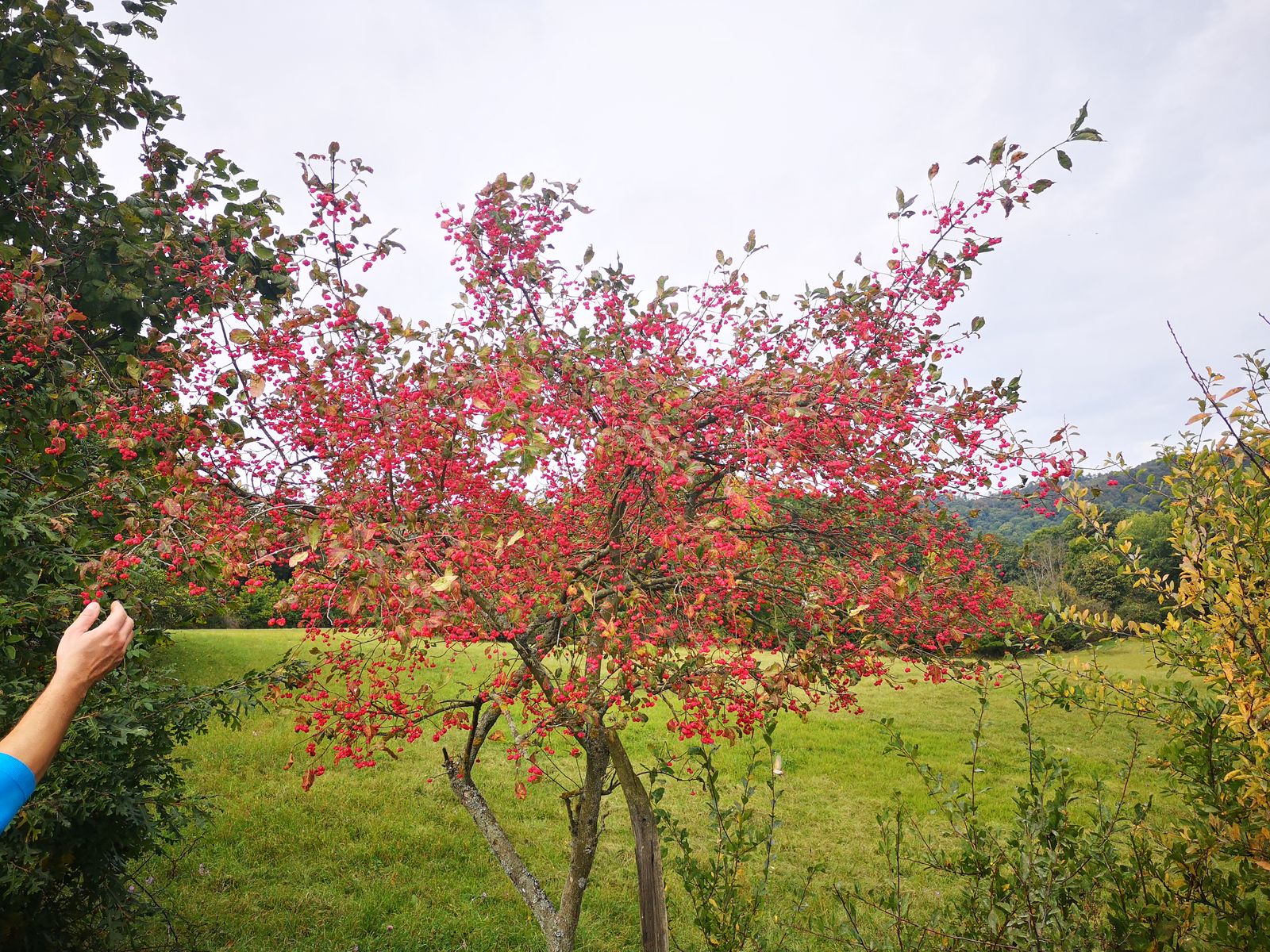 Dobra voda 1 jesenna krasa