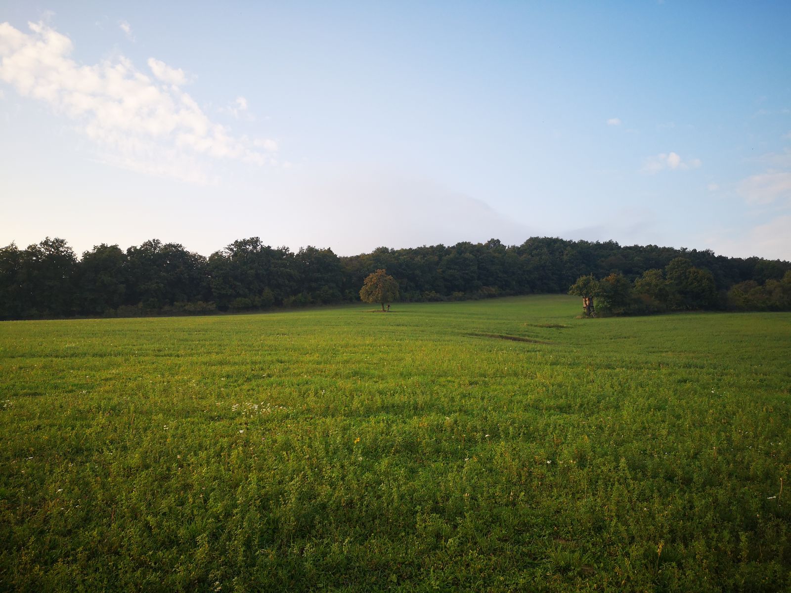 Dobra voda 14 solitaire