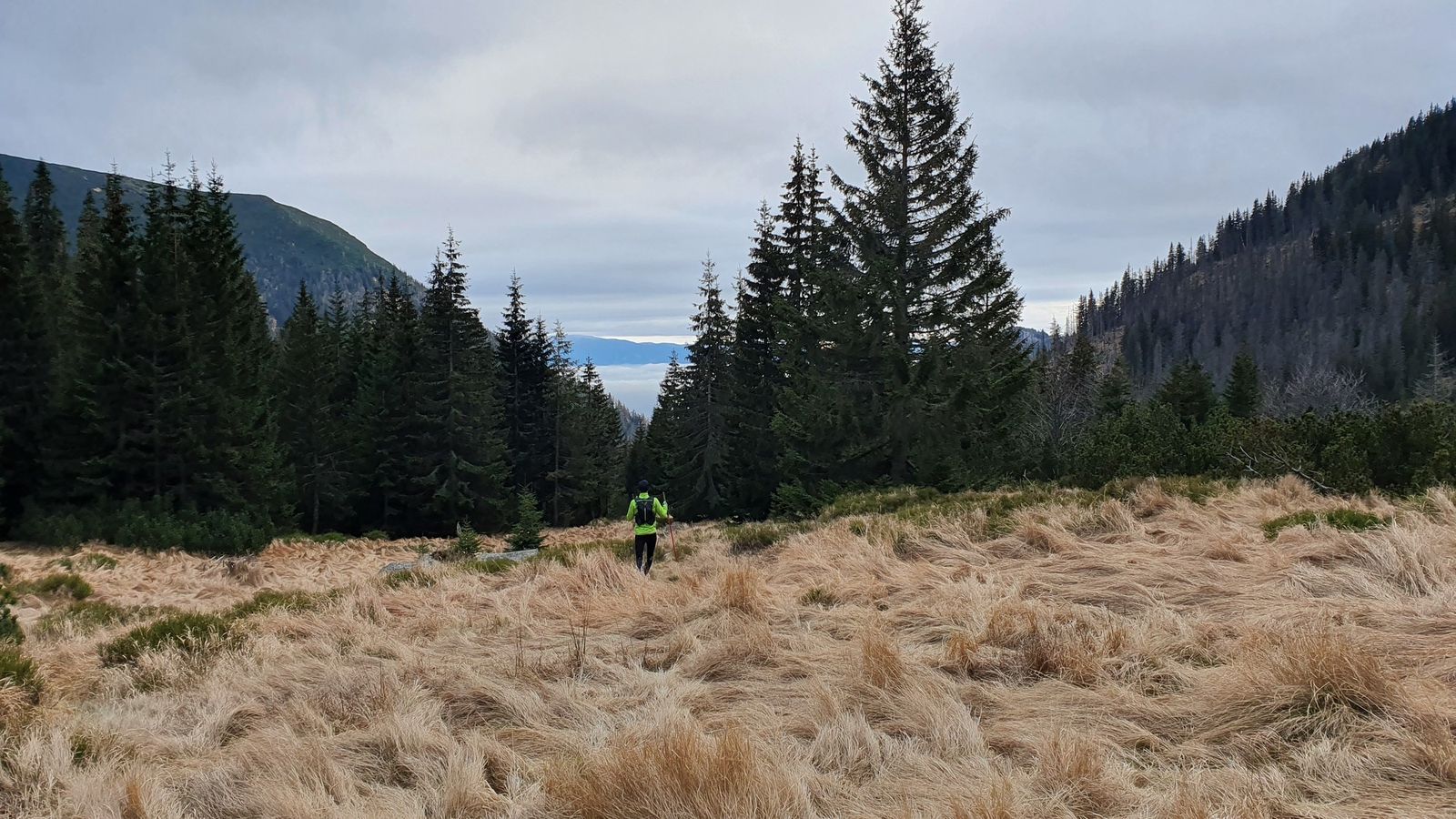 19 Tu už dávno nik nekosil