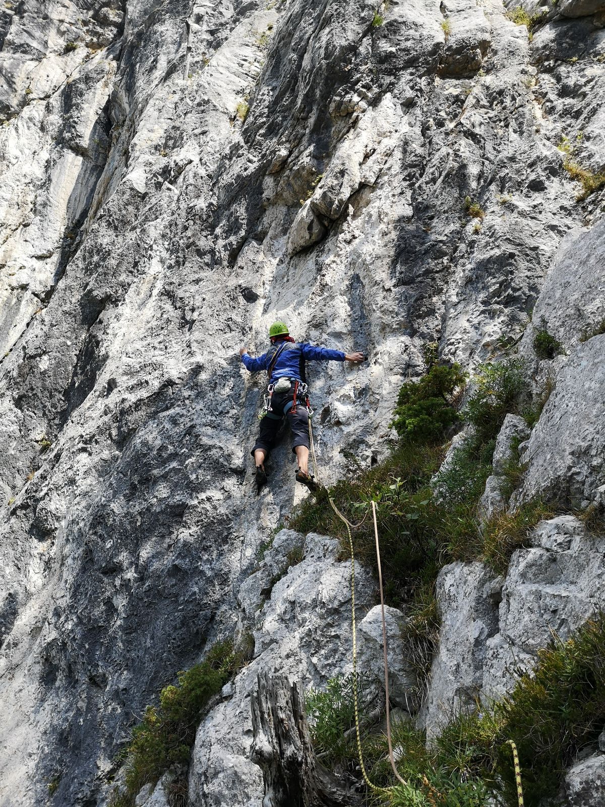Blechmauernpogo 8