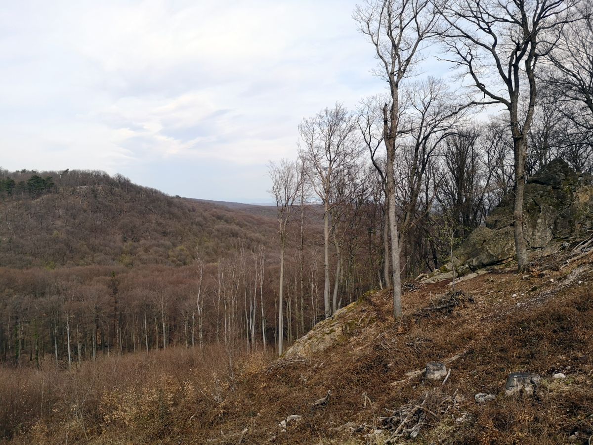 Hradisko 12 vrchol Peprovec