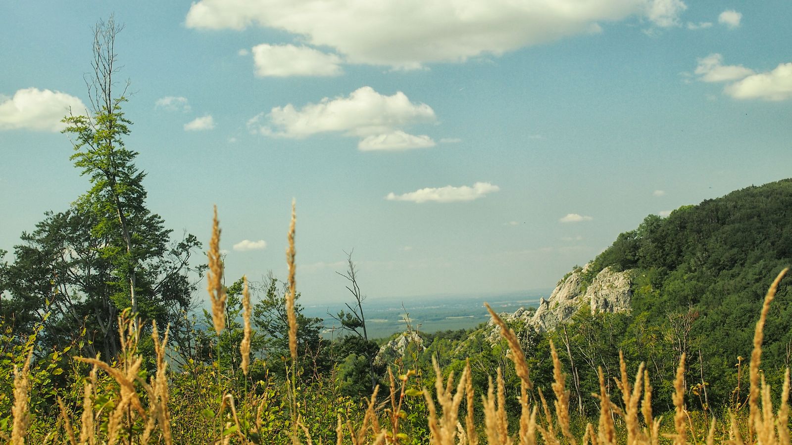 Kršlenica