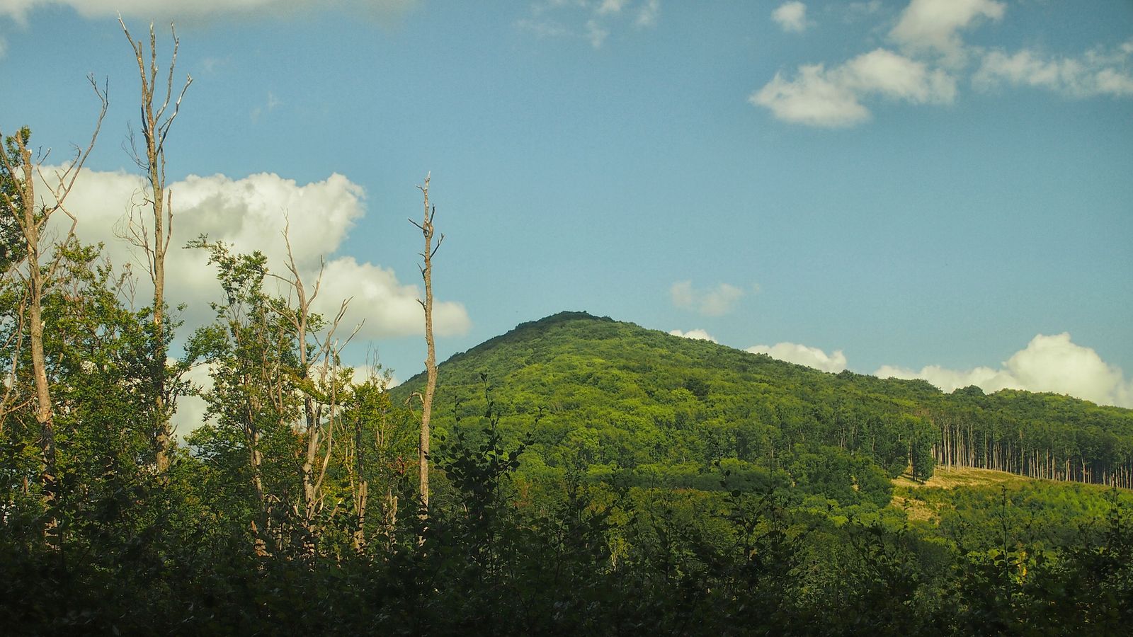 Veterlín