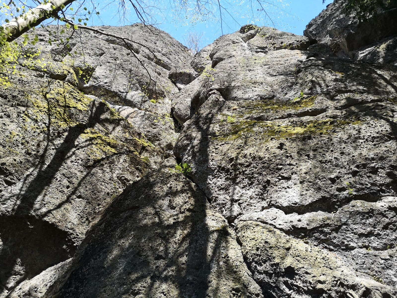 11 cesta Krkavčia
