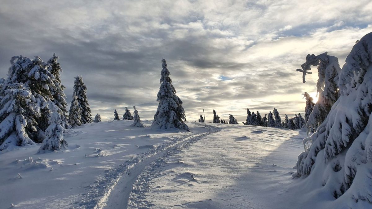 14 Hrebeňovka nad Donovalmi