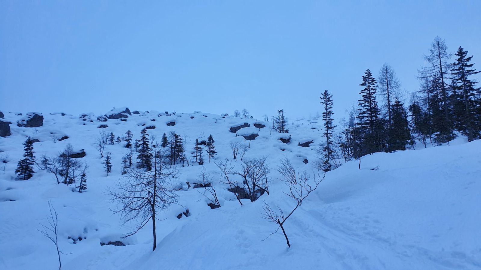 04 Skialp v doline Krnica - nad pásmom lesa