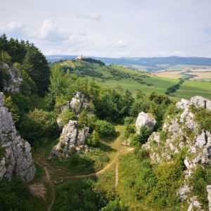 Dreveník 11 výhľad z veže Marta