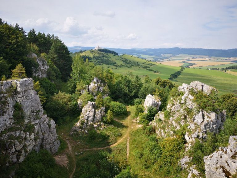 Dreveník 11 výhľad z veže Marta