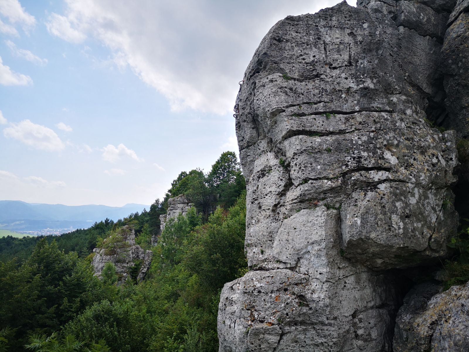 Dreveník 4: Veľký mních