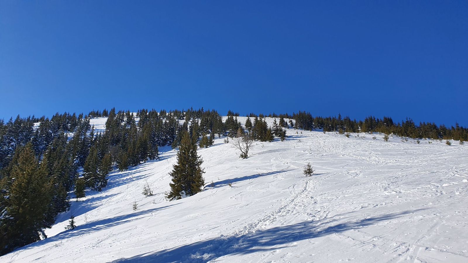 04 Babky lúky pod vrcholom