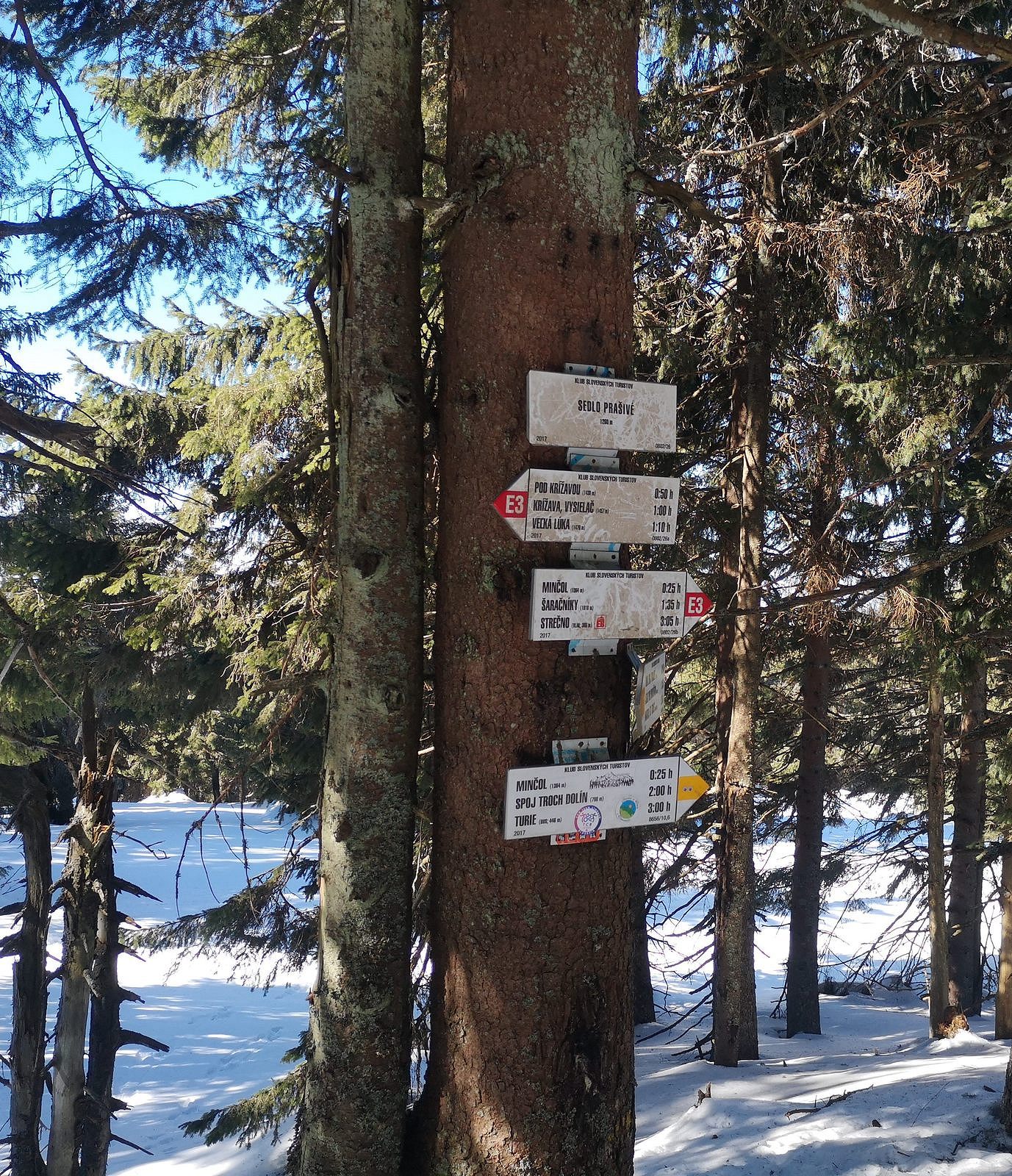 Martinske hole 14