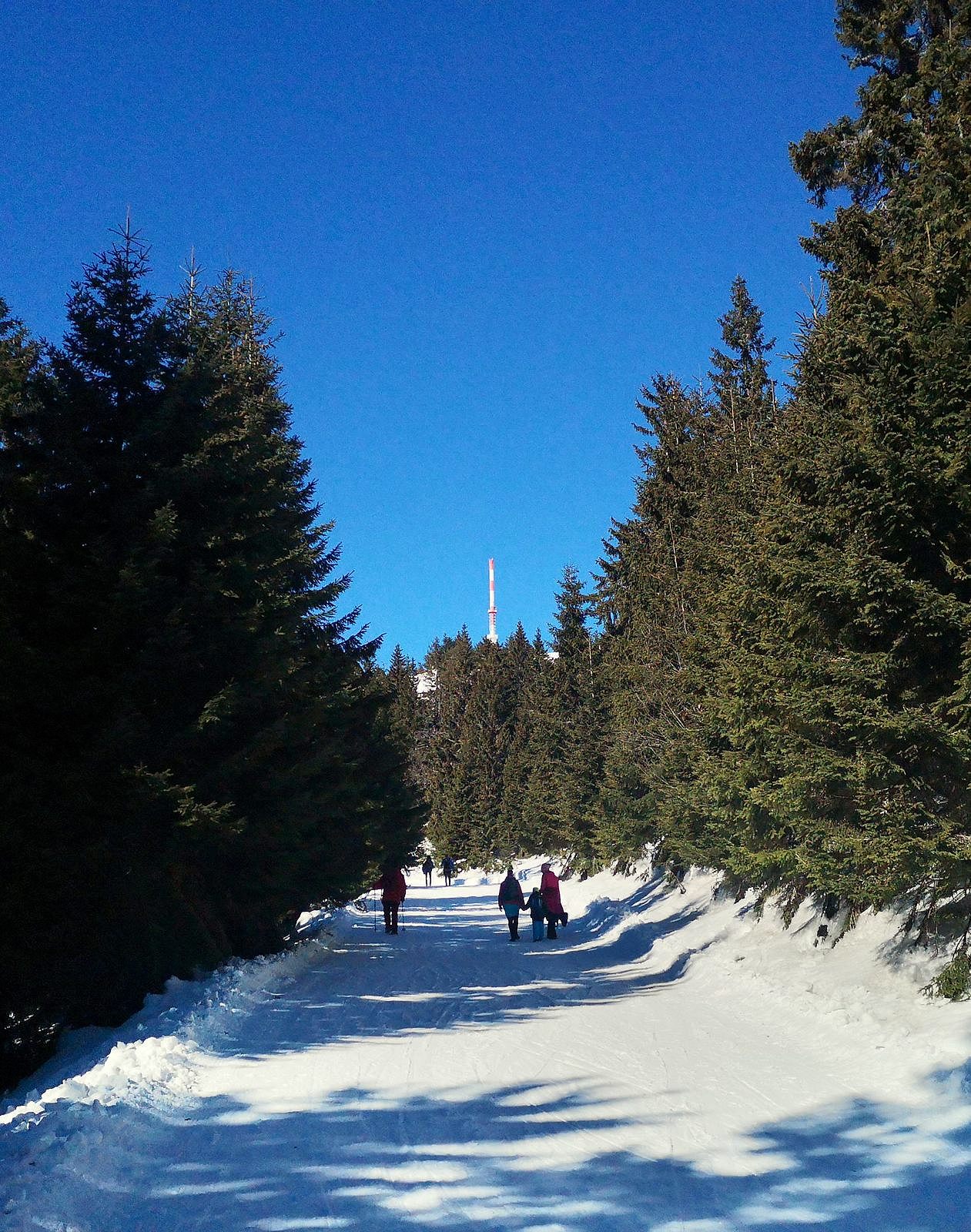 Martinske hole 3 výšlap po zjazdovke