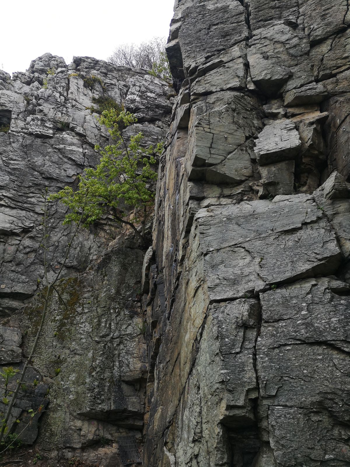 15 Zobor Malé skaly cesta Vlásočnica
