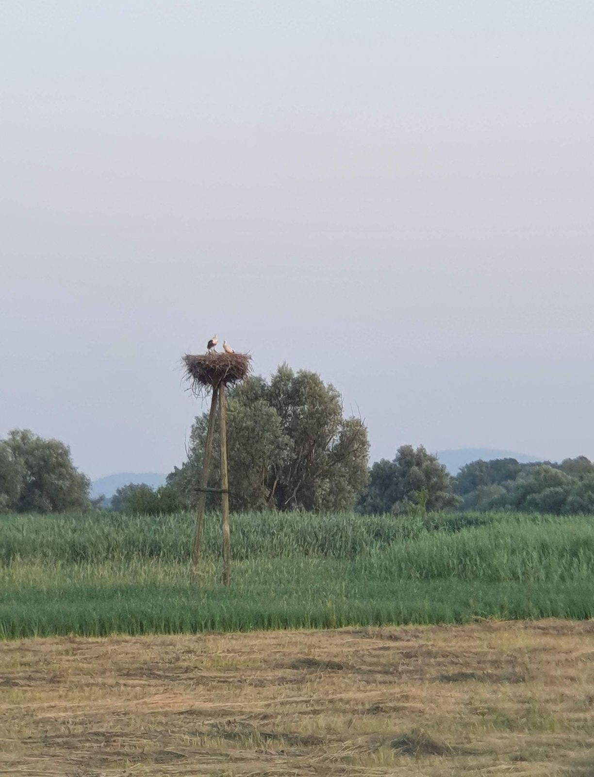 10 VysoMarch - fauna lužnej krajiny na slovenskom brehu