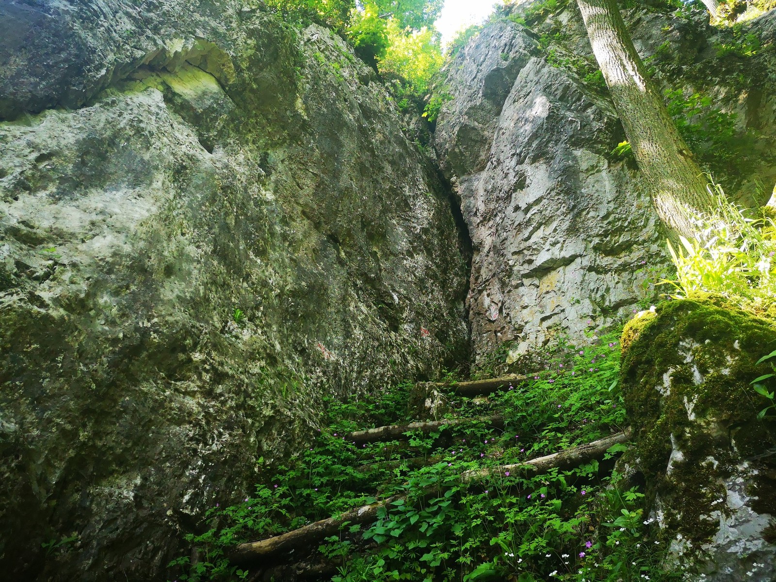 Sokolie skaly 3 sektor Oskar