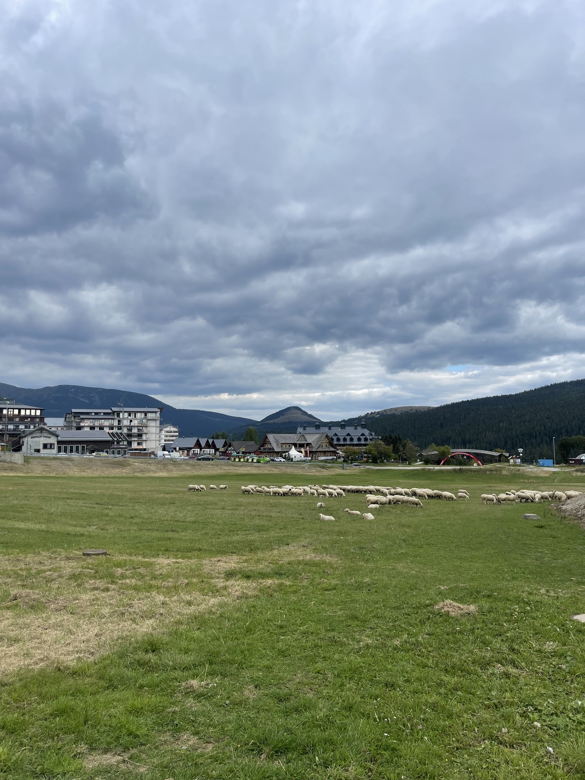 25 ovce na donovaloch