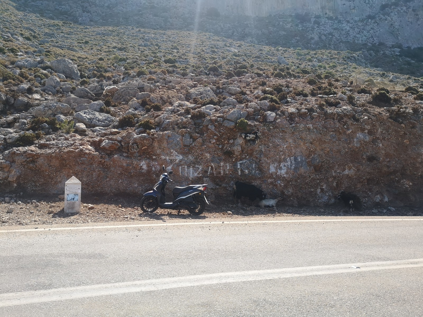 Kalymnos 13 kozy sú všade