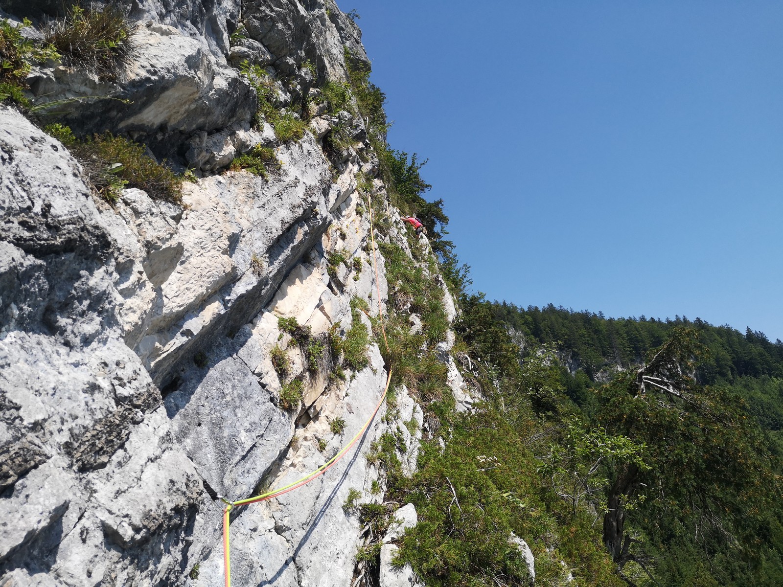 Woitroas 8 štvrtá dĺžka