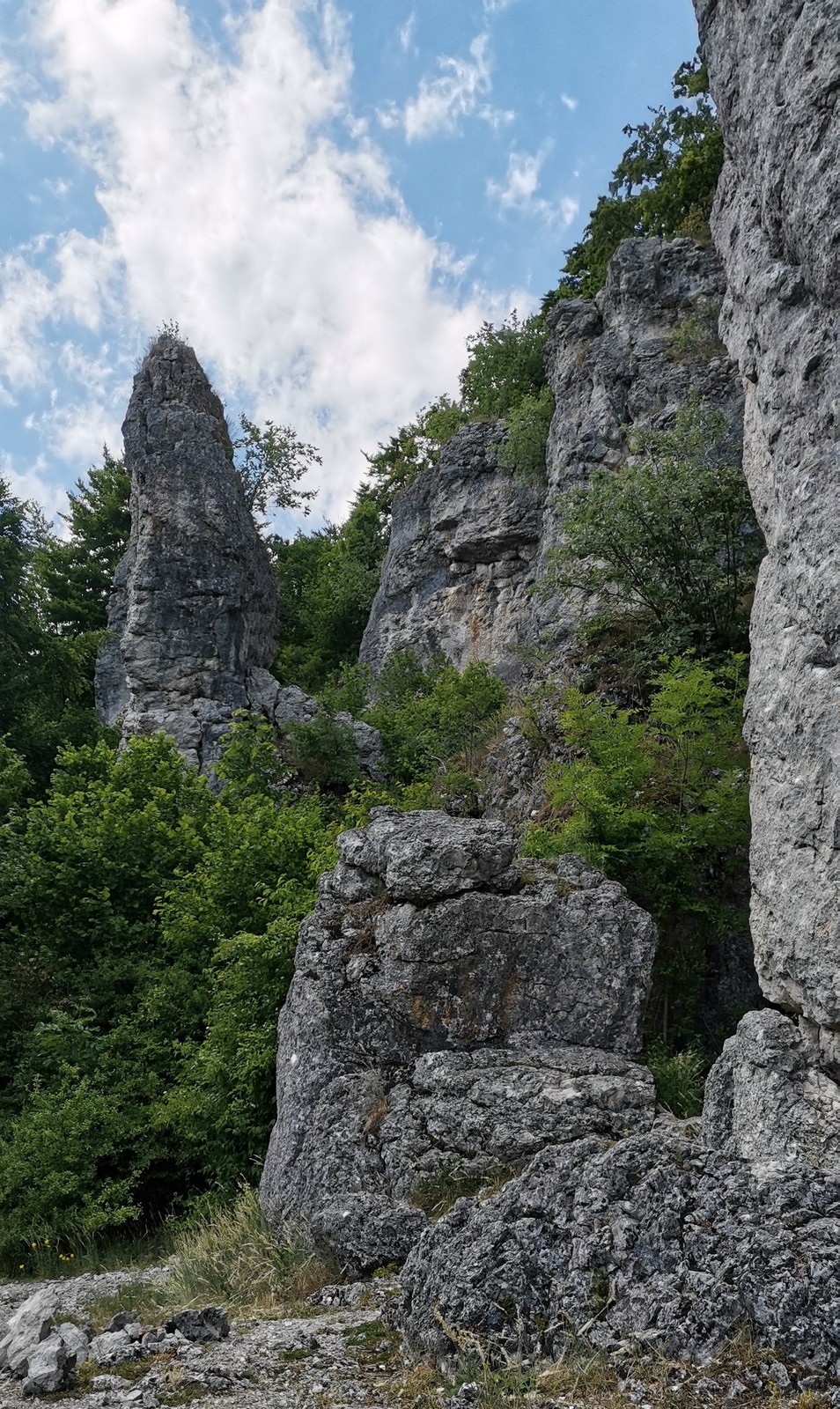 Frankenjura Schesslitz Nord 05