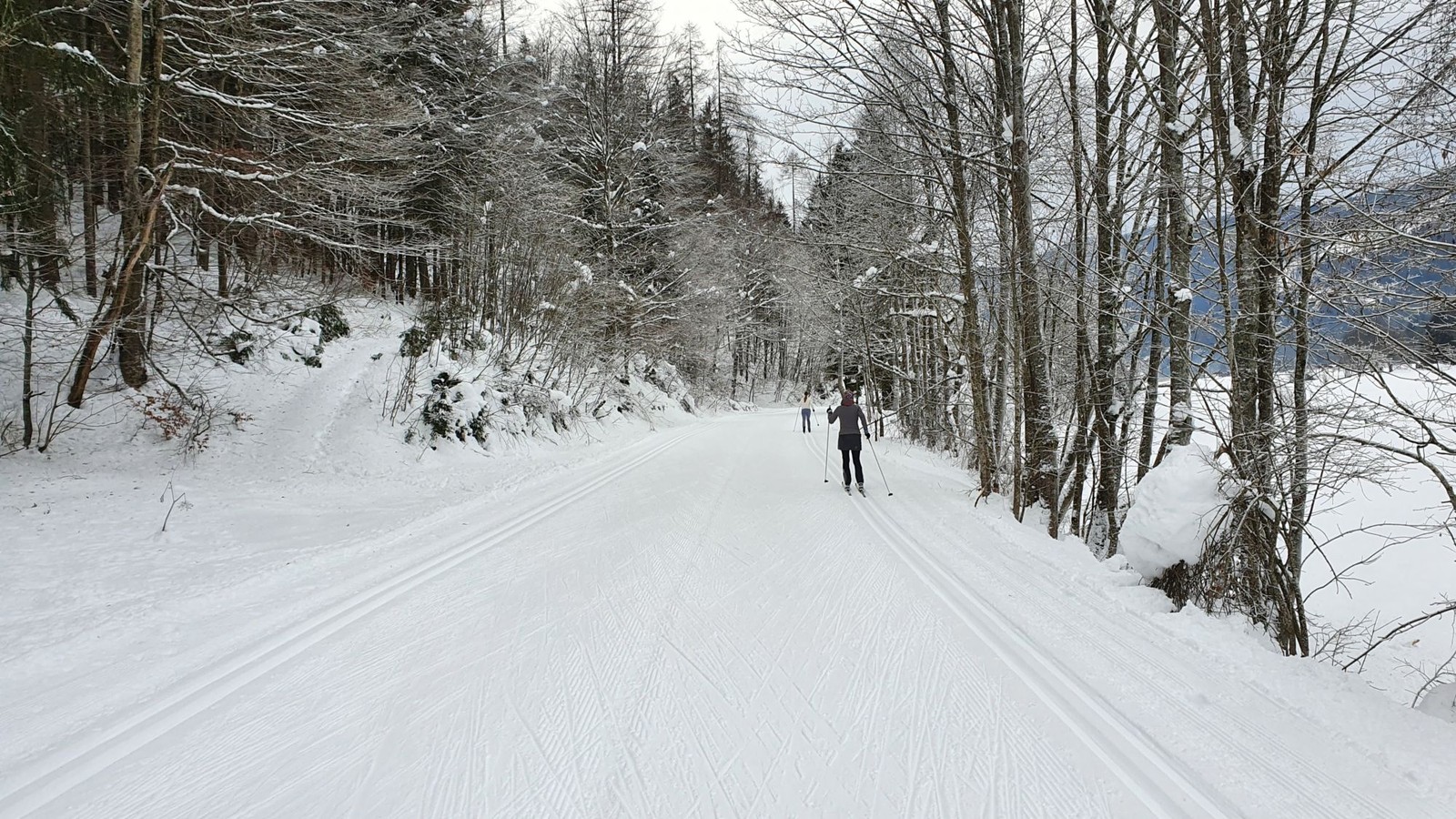 Trasy na bežecké lyžovanie Rateče, Planica 04