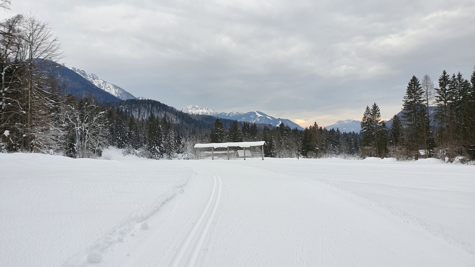 Trasy na bežecké lyžovanie Rateče, Planica 08