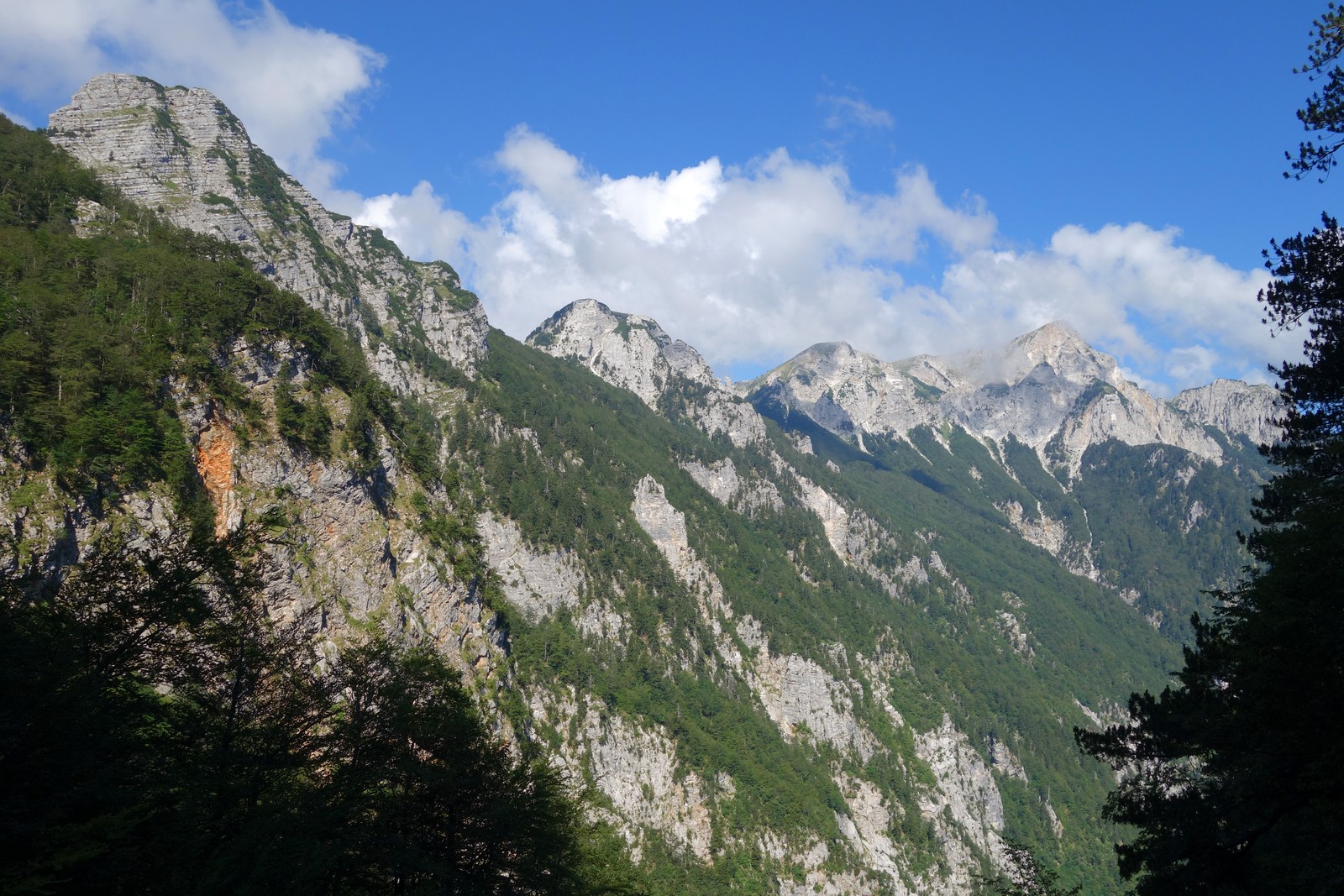 05 Konečne nad lesom