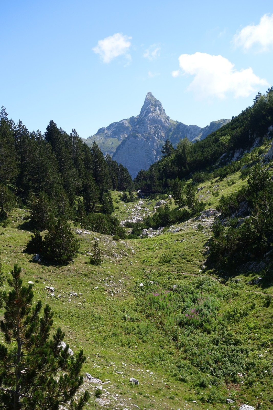 09 Pohľad späť na Zubač