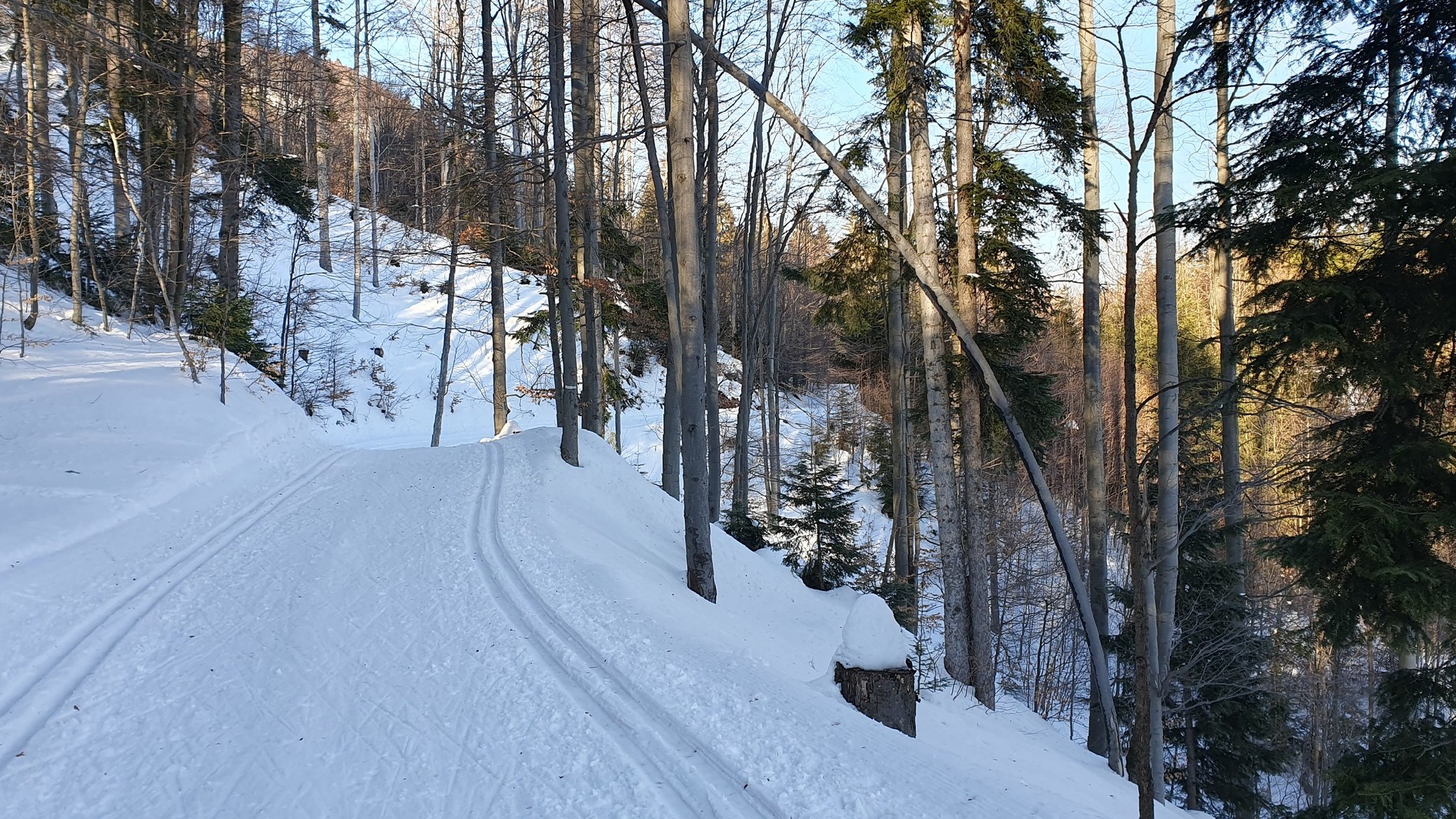 Bežecké lyžovanie Králiky