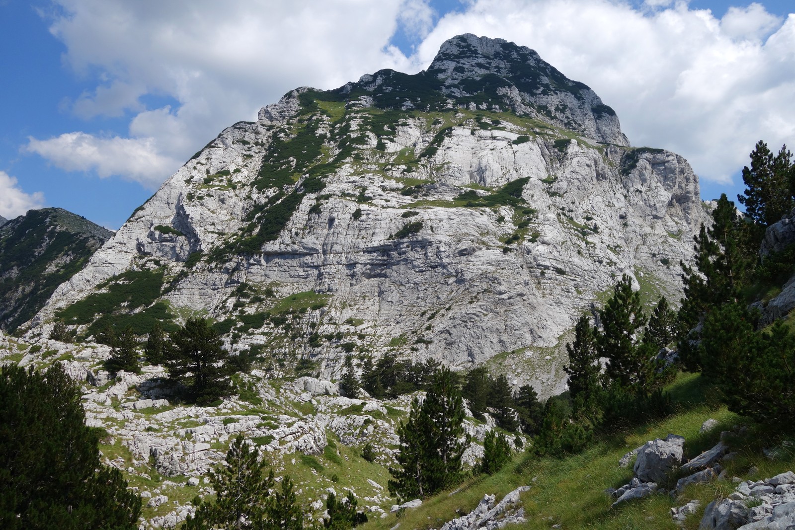 21 vrch Osobač cestou späť