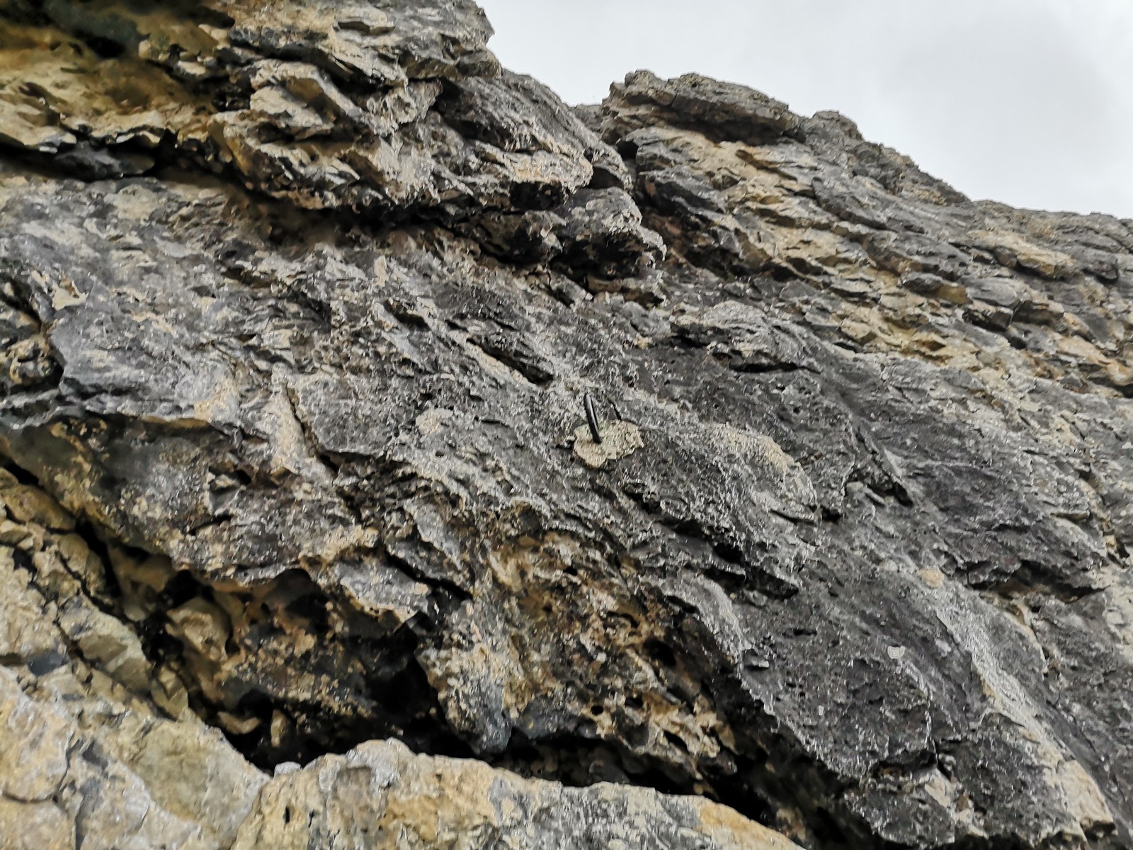 Via Gaudeamus 16 istenie