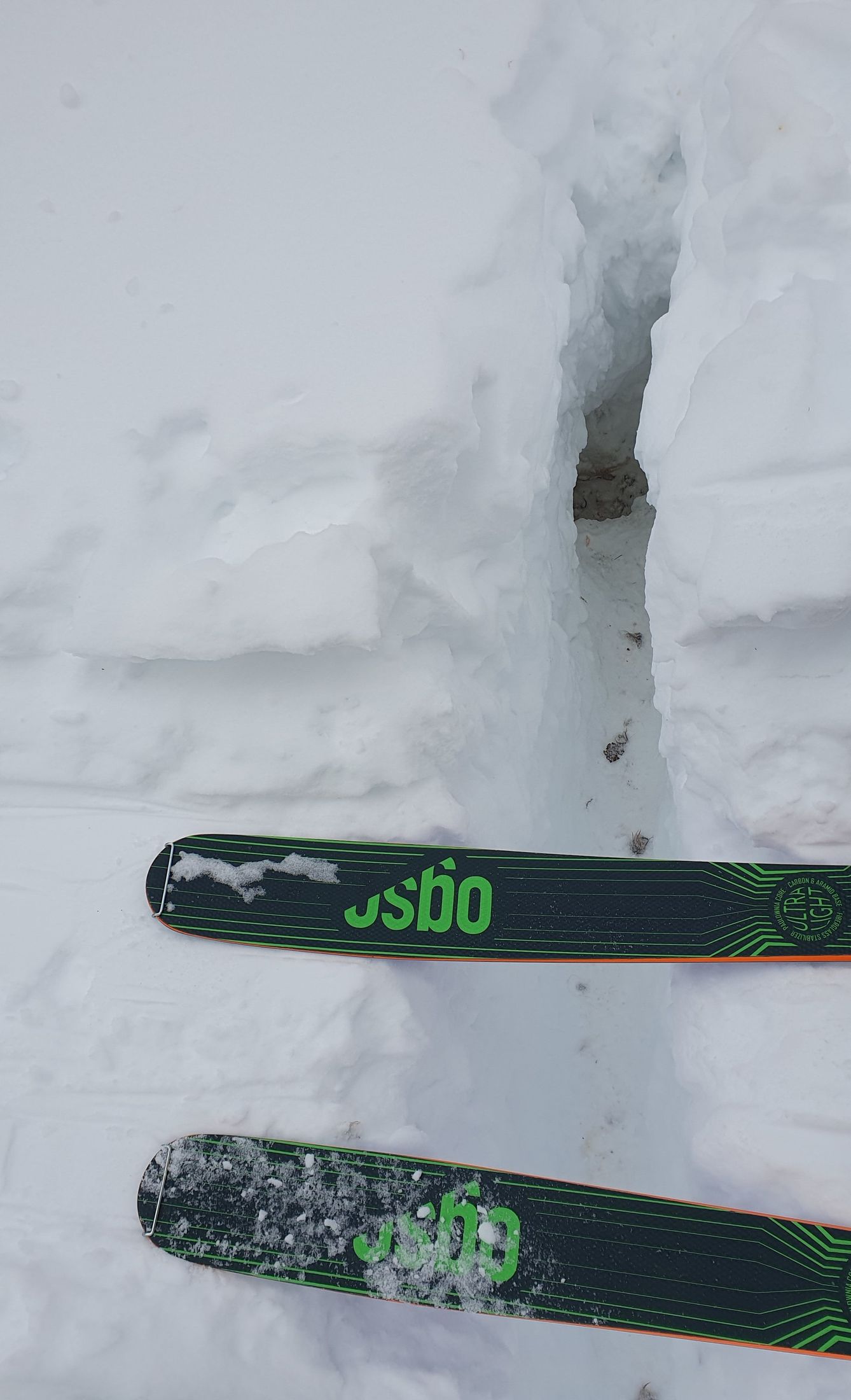 04 Planica Kotovo - Sedlo: Lyžiarska stopa narušila pokoj obyvateľa lesného podzemia