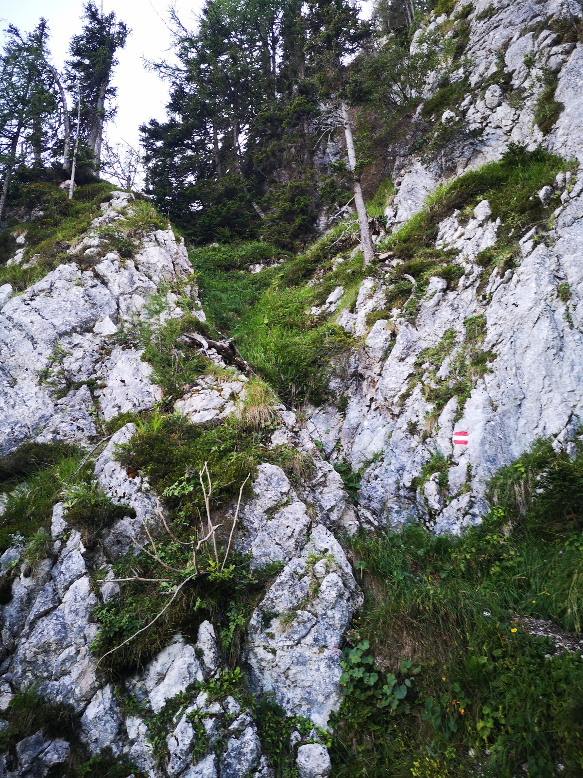 Cirettissima Hochtausing 31