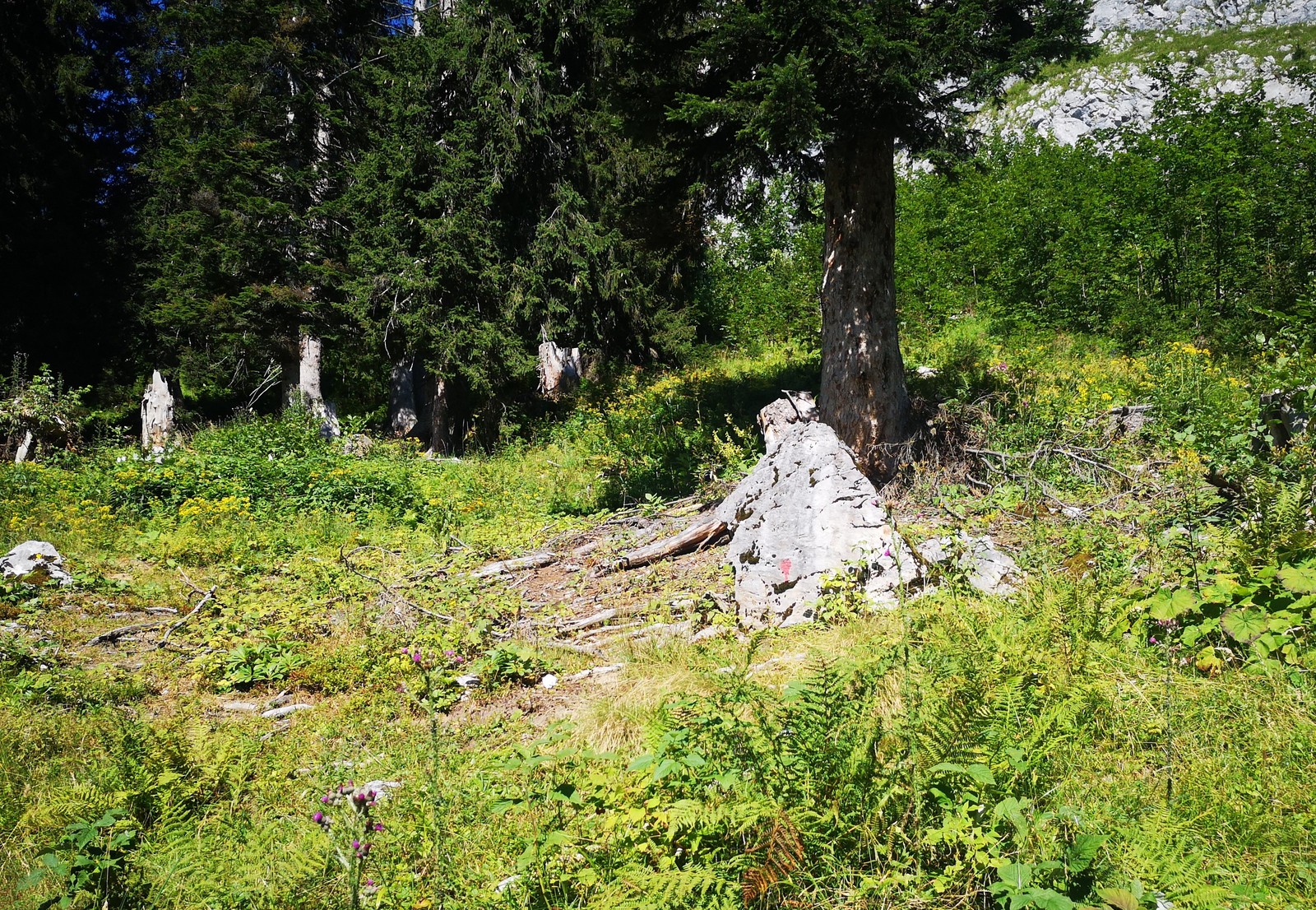 Cirettissima Hochtausing 4 značkovanie