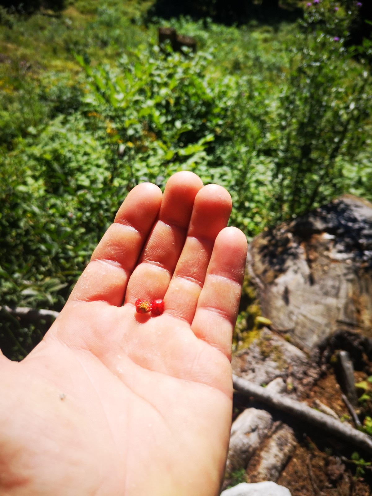 Cirettissima Hochtausing 5