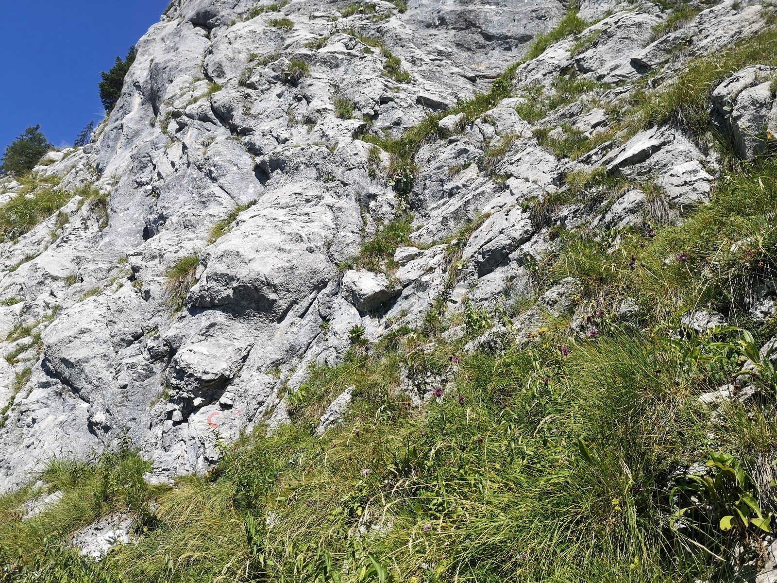 Cirettissima Hochtausing 8 červene C označuje začiatok cesty