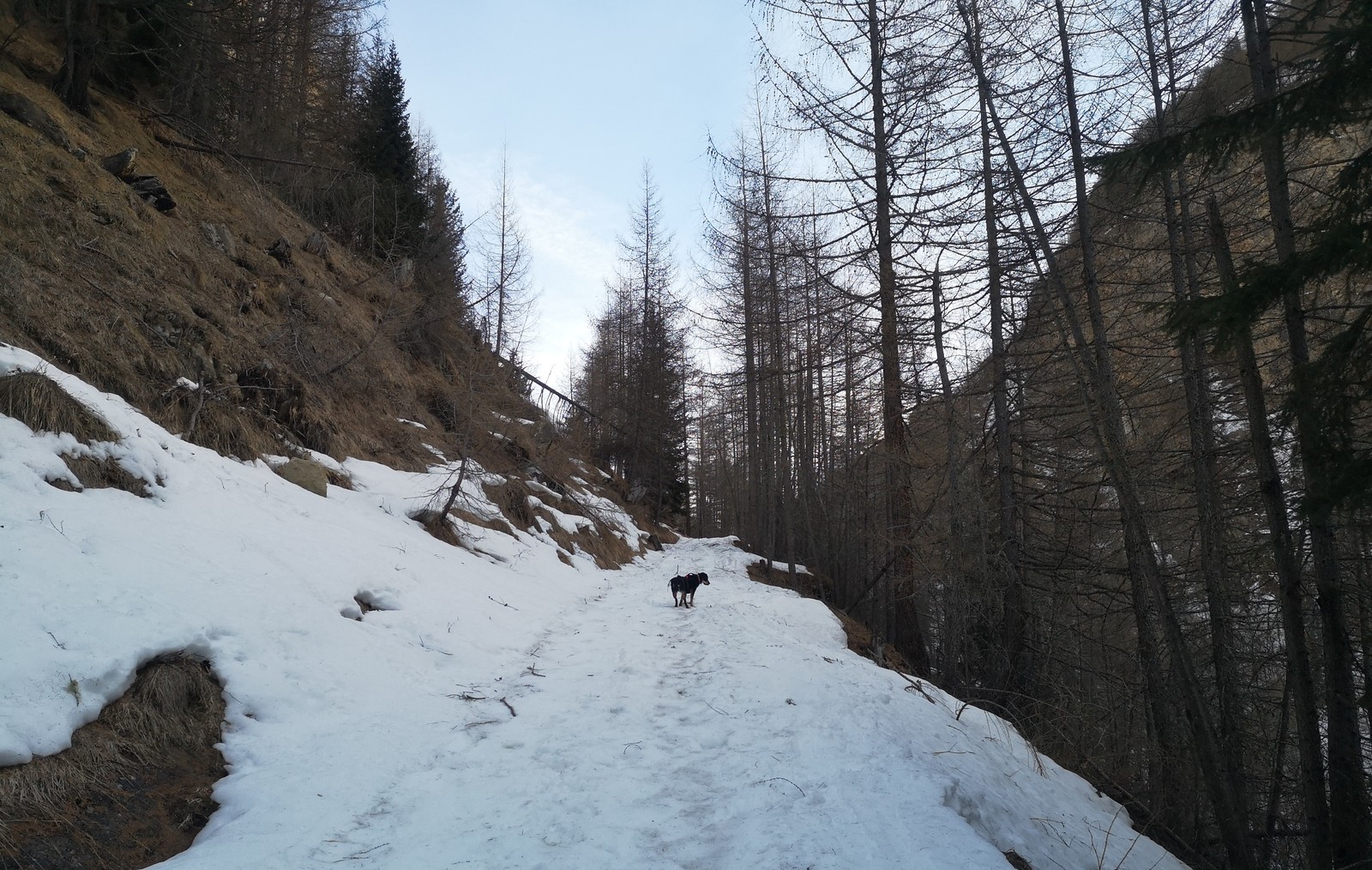 Zirmsee 1 na turistickej trase