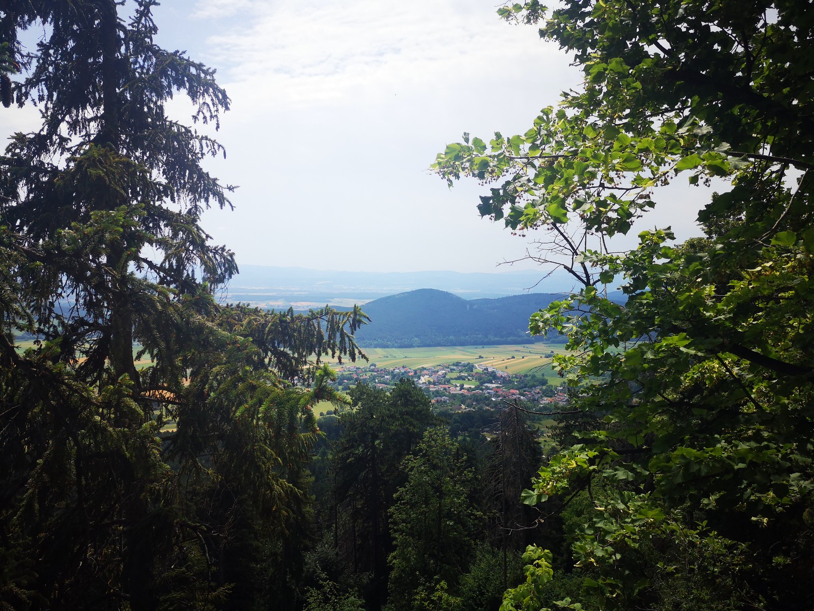 Traum und wirklichkeit 5 v druhej dĺžke ideš na nad stromy