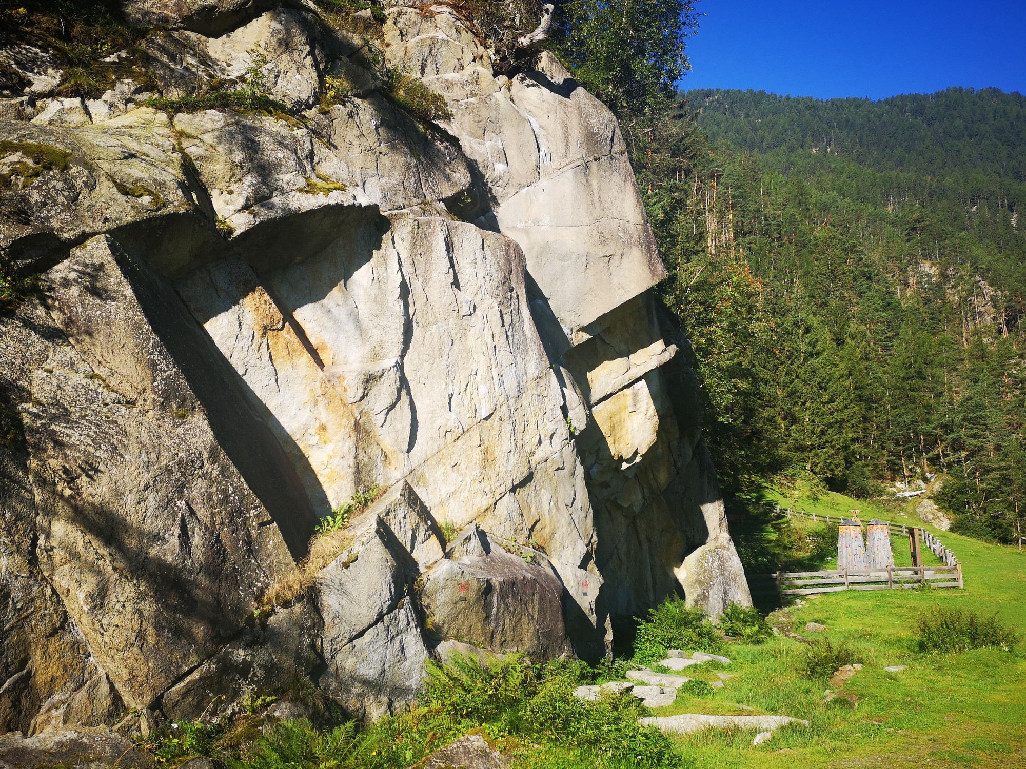 Oberried (3) sektor Blattlaus