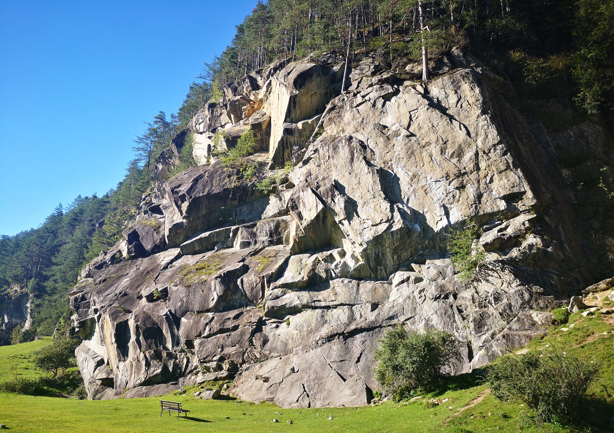 Oberried (7) sektor Pinoccio