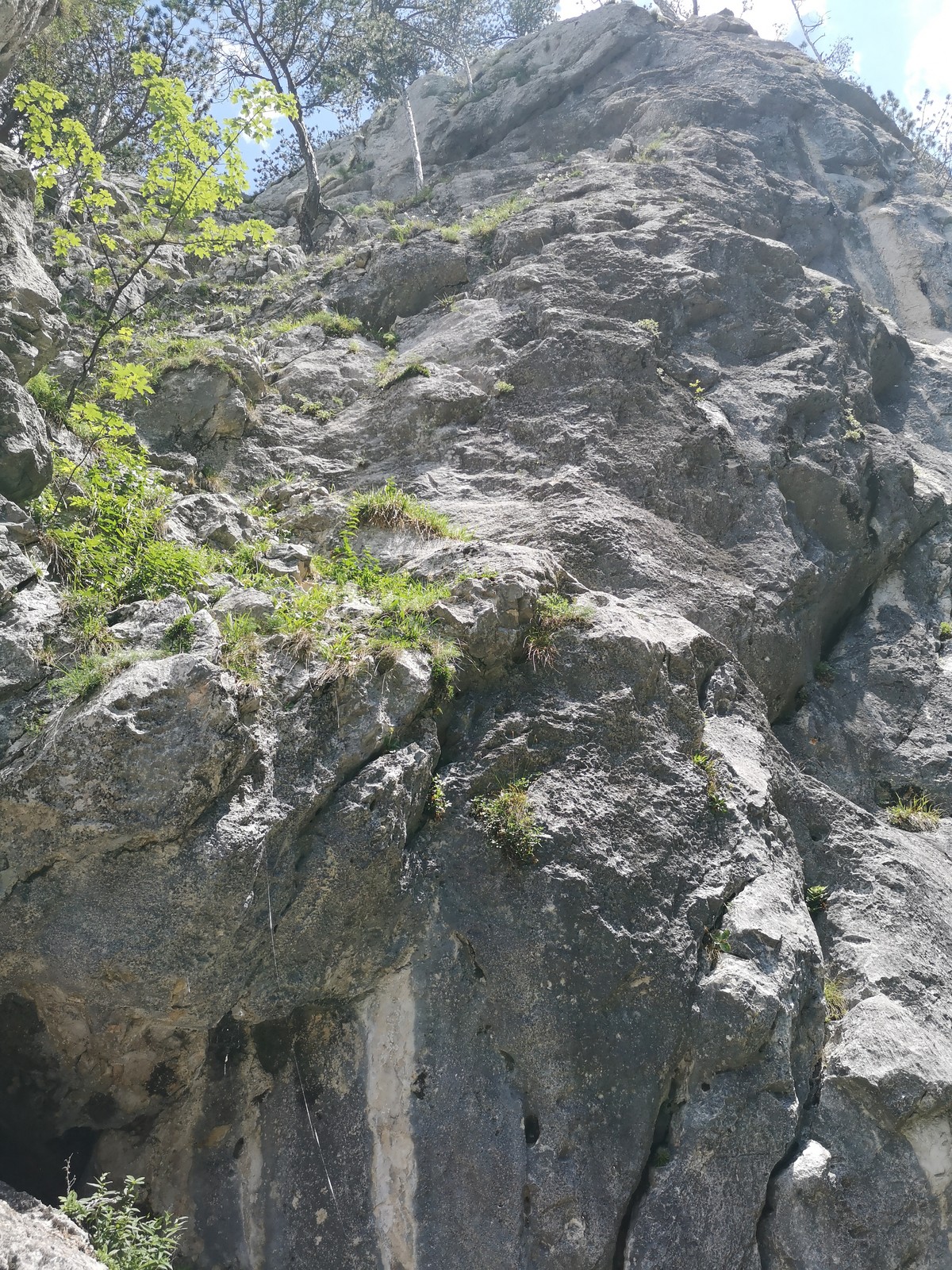 Weichtaler Trachtenkirtag (16) šiesta dĺžka