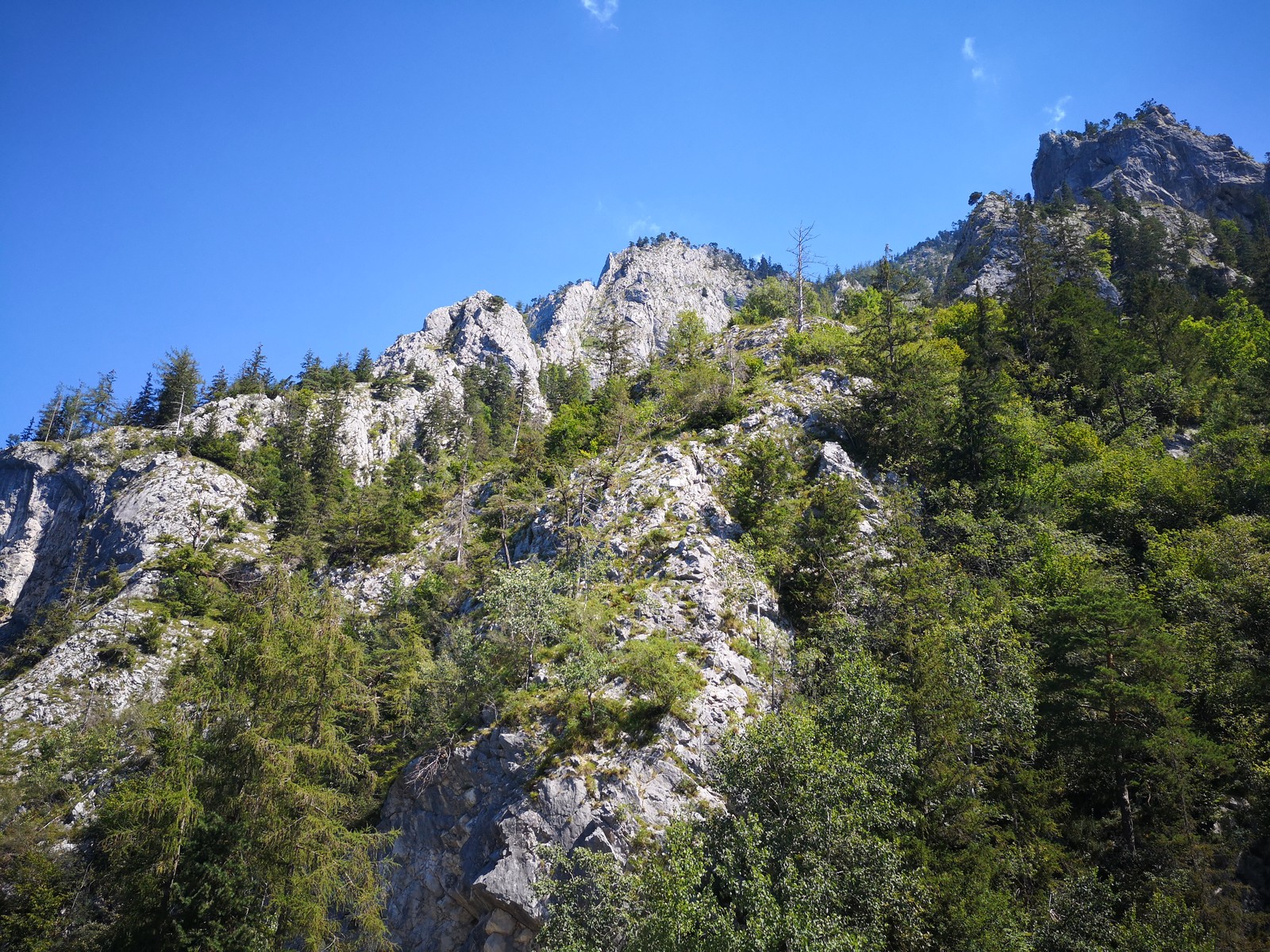 Traunstein (4) SW grat