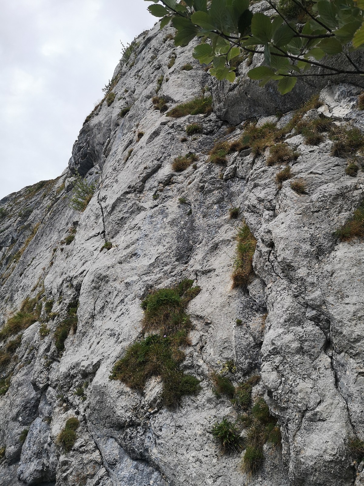 Triple A (11) druhá polovica cesty