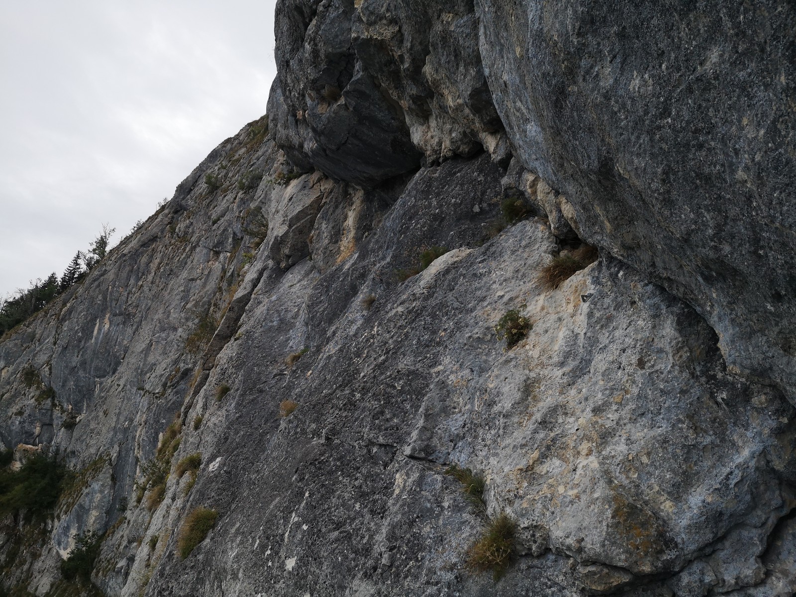 Triple A (14) pohľad do 6 dĺžky