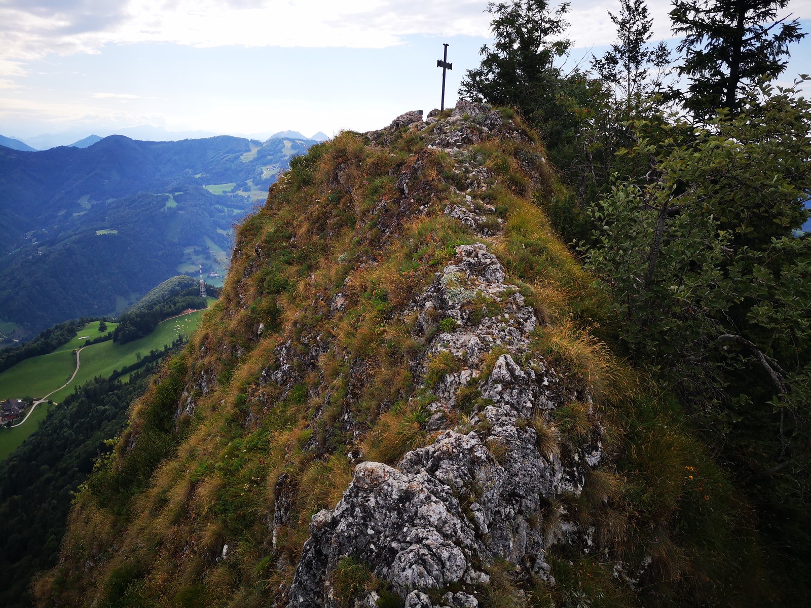 Triple A (23) hrebeň